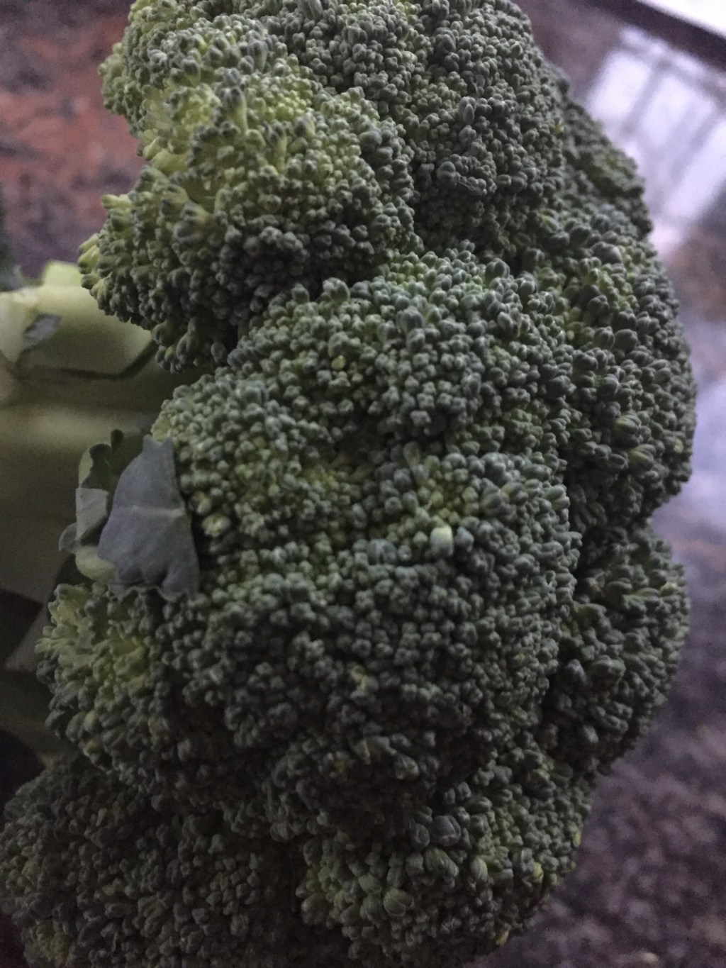 Broccoli_Superfruit/-vegetable_die Erste